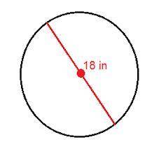 Find the circumference of the circle below!