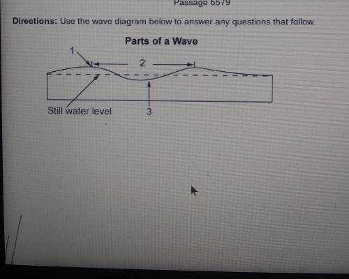 What kind of wave is in the diagram? A compression wave 8 longitudinal wave c. transverse wave D so