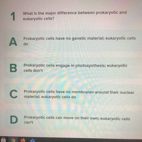 1

What is the major difference between prokaryotic and
eukaryotic cells?
А
Prokaryotic cells have
