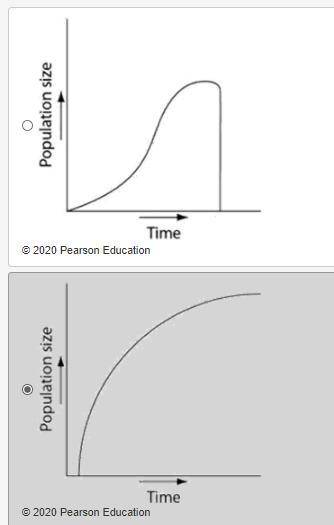 Which of the following graphs illustrates the growth curve of a small population of rodents that ha