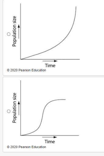 Which of the following graphs illustrates the growth curve of a small population of rodents that ha