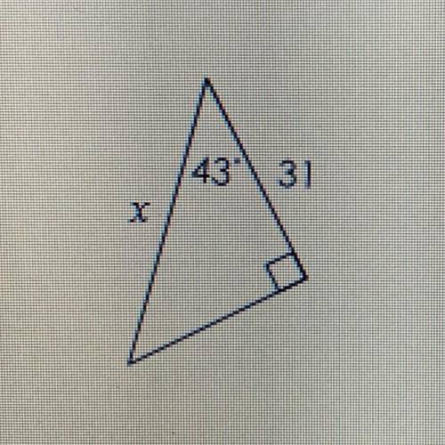 Solve for x, the missing side. Round the nearest tenth