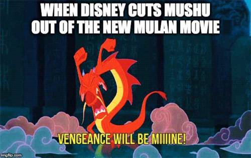 Just just why even make a new mulan