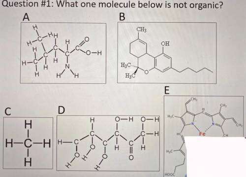 Can someone help please. Which one is not organ organic molecule?

Please only answer if you know.