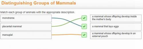 Match each group of animals with the appropriate description.
Attached Answer!