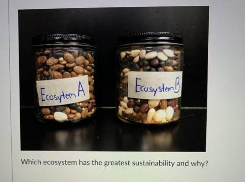 Ecosytem A

Ecosystem B
Which ecosystem has the greatest sustainability and why? PLEASE HELP