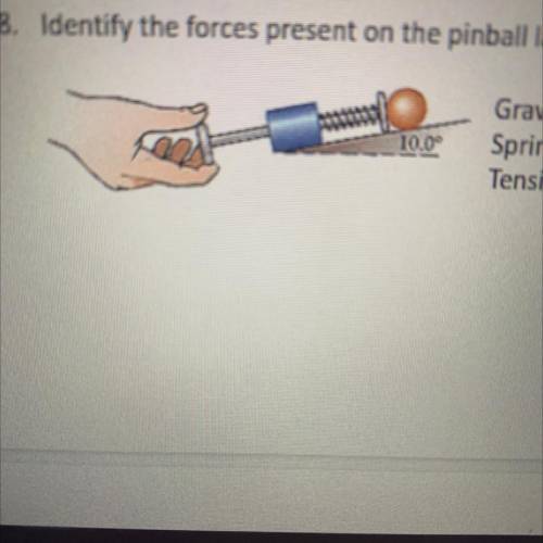 Identify the forces present on the pinball launcher in the picture below.

Gravity
Spring
Tension