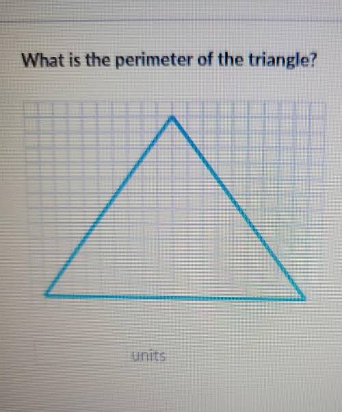 What is the perimeter of the triangle​