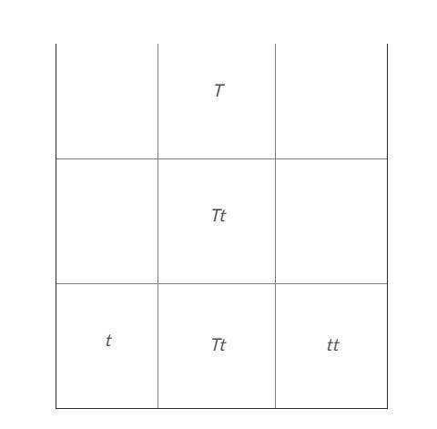 Can someone finish this Punnett square please