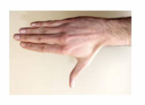 Which description best matches the image below of a hand that is using the right-hand palm rule?