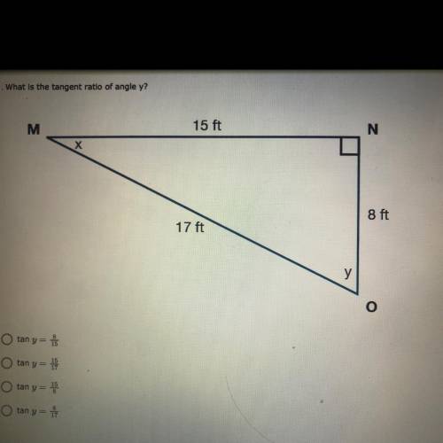 What is the tangent ratio of angle y?