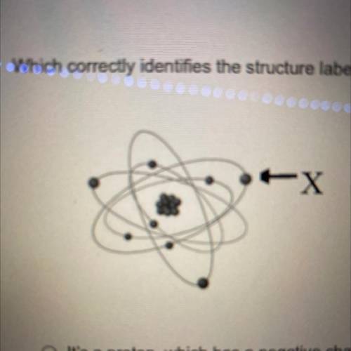Jhil Exam

Which correctly identifies the structure labeled X in the diagram?
It's a proton, which