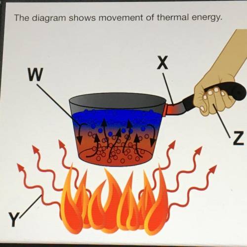The diagram shows movement of thermal energy

In which areas of the diagram does conduction occur?