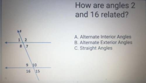 PLEASE HELP Which is the correct answer ? 100 POINTS !! EXPLAIN.
