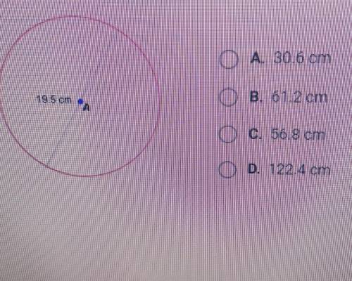 What is the circumference of the circle shown below?​