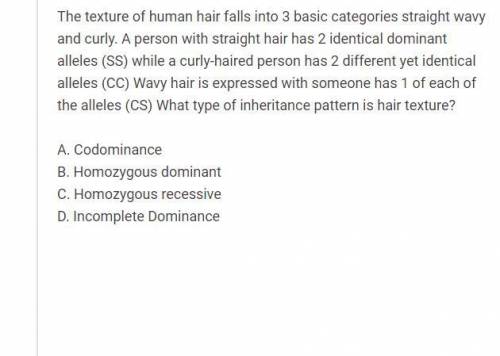 50 POINTS EXPLAIN WHY YOU CHOOSE THIS ANSWER!

The texture of human hai