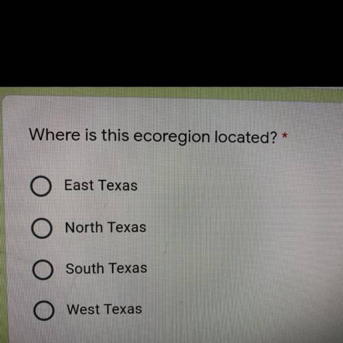 Where is this ecoregion located?