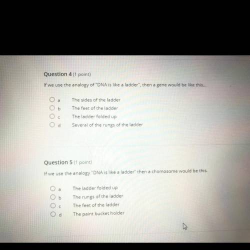Can anyone answer these questions for me?