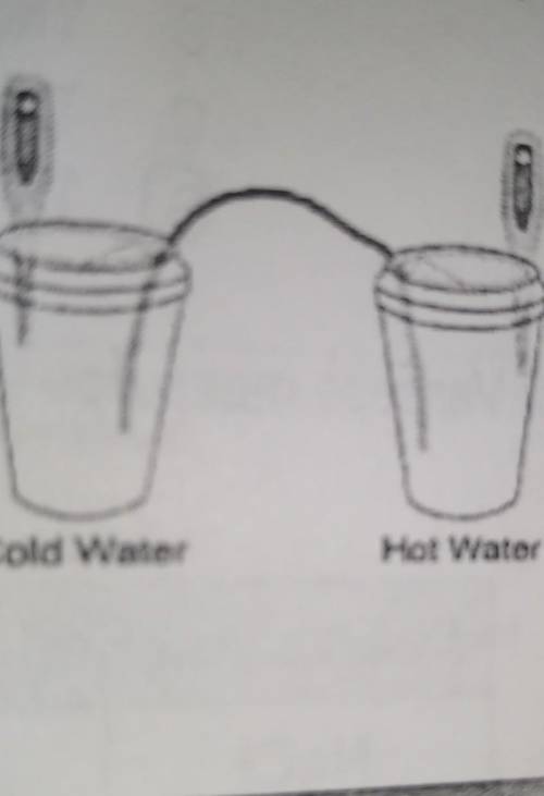 5. During a heat transfer investigation, students filled two cups with water. One cup contains 100m