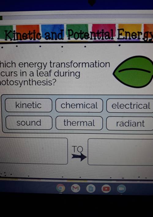 Which energy transformation occurs in a leaf during photosynthesis? kinetic chemical electrical sou