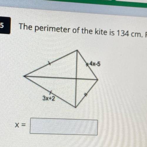 The perimeter of the kite is 134 cm. Find the value of x.