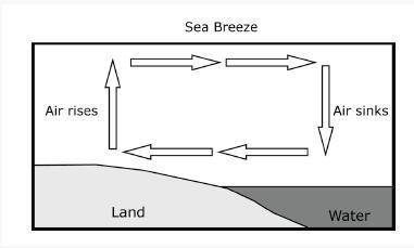 An illustration of how a convection current creates a wind, called a sea breeze, is provided. Which
