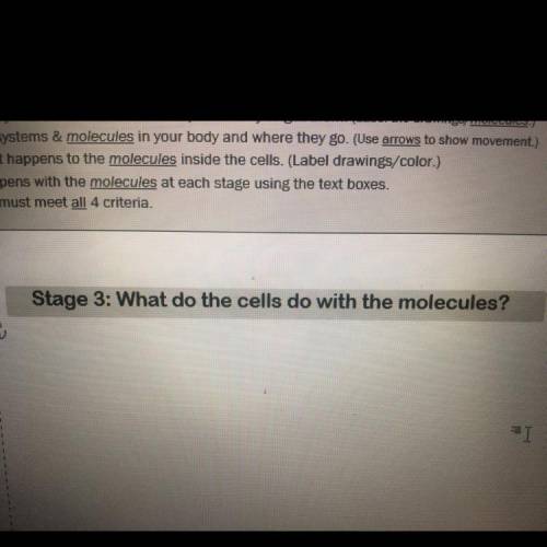 3: What do the cells do with the molecules?