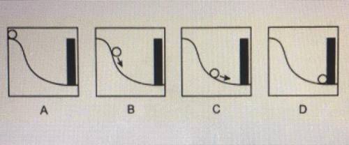 Based on the diagram of a ball rolling down hill, what statement is true?

A) The ball in box C ha