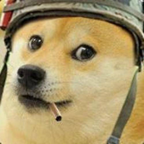 This picture is sponsored by Raid shadow legends when u download with my link you get sergeant doge