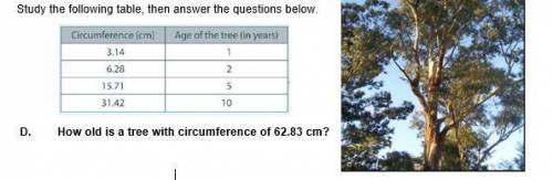 How old is a tree with circumference of 62.83 cm?