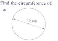 Find the circumference