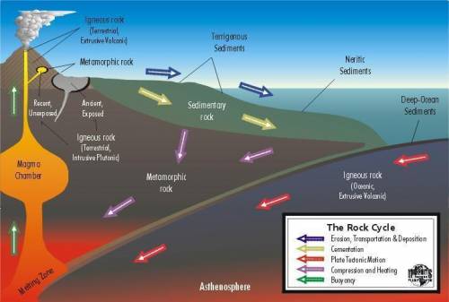 Use the image below and the Rock Cycle Resource to describe how the Rock Cycle and Tectonic Plates