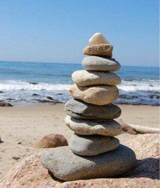 While at the beach, Lee collected this pile of rocks. How could Lee find out whether the rocks cont