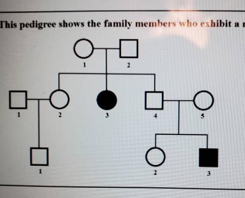 This pedigree shows the family members who exhibit a recessive trait. I 2 II O III 2 3 a. 1-1 e. 11