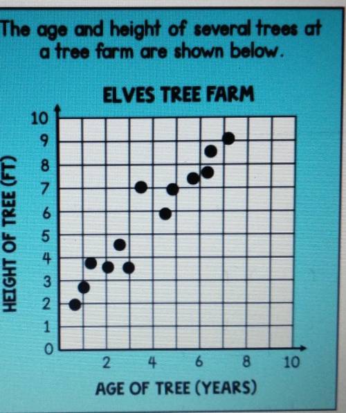 1: if a tree is four years old, which is the best prediction of the height of the tree after six fe