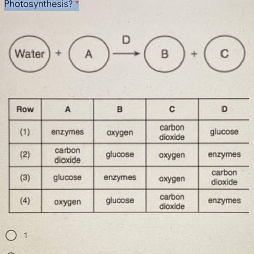 Which of the following best represents the correct sequence of letters in Photosynthesis? *

A. 1
