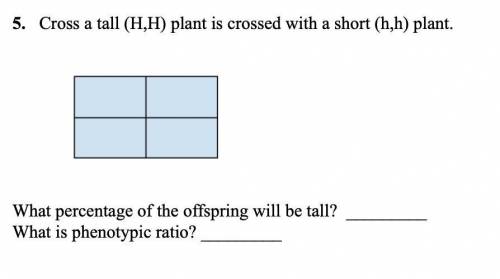 I need an example for this problem! Pls, help me I will really give!!