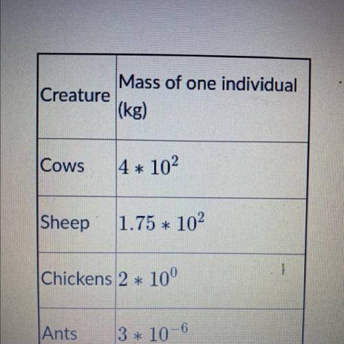 How many chickens would Mr. brown need to put on one sideto balance out one cow.