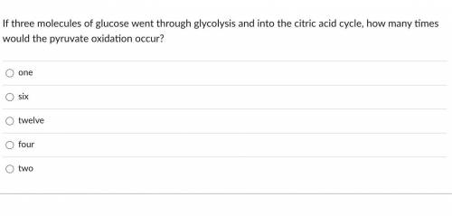 If three molecules of glucose went through glycolysis and into the citric acid cycle, how many time