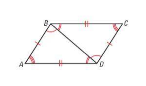 Which is not a pair of congruent angles in the diagram below

angles ABD and BAD
angles BCD and BA