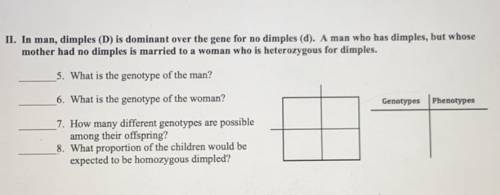 In man, dimples (D) is dominant over the gene for no dimples (d). A man who has dimples, but whose