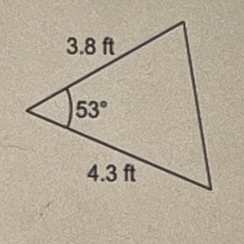 What is the area of this triangle? please round to the nearest hundredth !