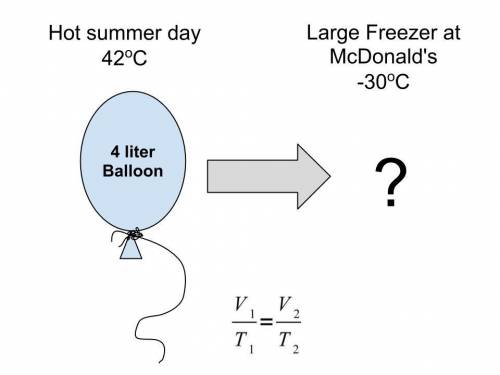 This is a written question.

No link answers please!!!1.Predict the change seen in the balloon in
