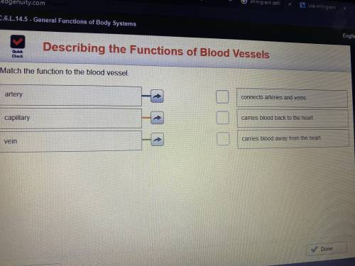 Match the function to the blood vessel