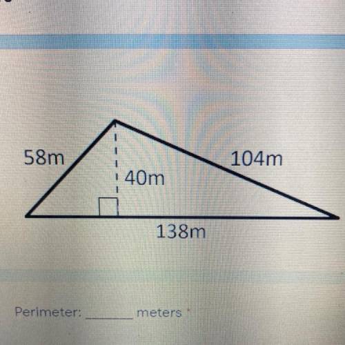 What is the the perimeter?