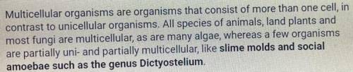 Example of multicellular organisms. Please help me