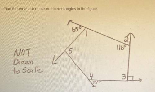Can somebody please help me with this question will give brsinlest