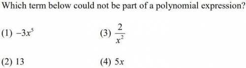 What is the answer? Help