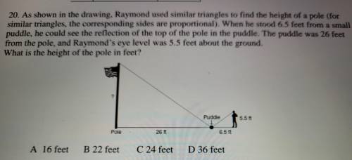 As shown in the drawing, Raymond used similar triangles to find the height of a pole (for

similar