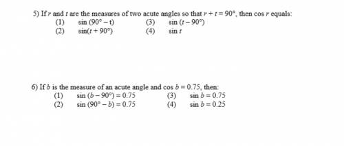 Can somebody help me with these questions?